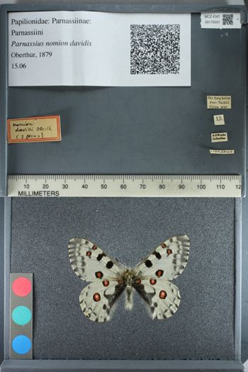 Media type: image;   Entomology 175031